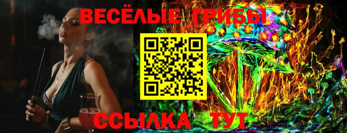 Псилоцибиновые грибы GOLDEN TEACHER  Вход с VPN  Кубинка 